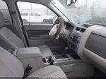 2009 Ford Escape Xlt Blue vin: 1FMCU03G39KA64136