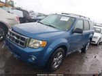 2009 Ford Escape Xlt Blue vin: 1FMCU03G39KA64136