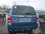 2009 Ford Escape Xlt Blue vin: 1FMCU03G39KA64136