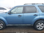 2009 Ford Escape Xlt Blue vin: 1FMCU03G39KA64136