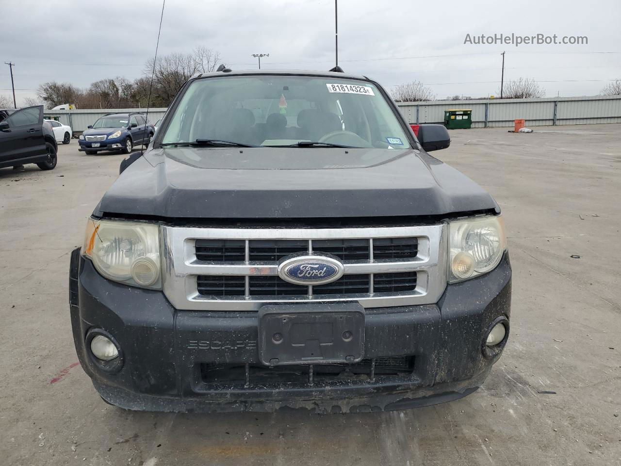 2009 Ford Escape Xlt Black vin: 1FMCU03G39KA93393