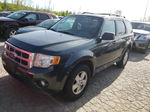 2009 Ford Escape Xlt Gray vin: 1FMCU03G39KB00956