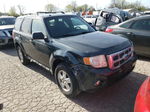 2009 Ford Escape Xlt Gray vin: 1FMCU03G39KB00956