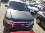 2009 Ford Escape Xlt Gray vin: 1FMCU03G39KB00956