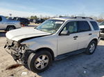 2009 Ford Escape Xlt White vin: 1FMCU03G39KB64530