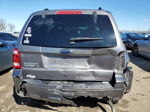 2009 Ford Escape Xlt Gray vin: 1FMCU03G39KD04902