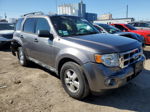 2009 Ford Escape Xlt Серый vin: 1FMCU03G39KD04902