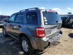 2009 Ford Escape Xlt Gray vin: 1FMCU03G39KD04902