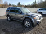 2009 Ford Escape Xlt Gray vin: 1FMCU03G49KA11087