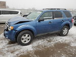 2009 Ford Escape Xlt Blue vin: 1FMCU03G49KA57213