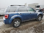 2009 Ford Escape Xlt Blue vin: 1FMCU03G49KA57213