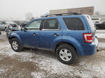 2009 Ford Escape Xlt Blue vin: 1FMCU03G49KA57213