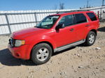 2009 Ford Escape Xlt Red vin: 1FMCU03G49KB10119