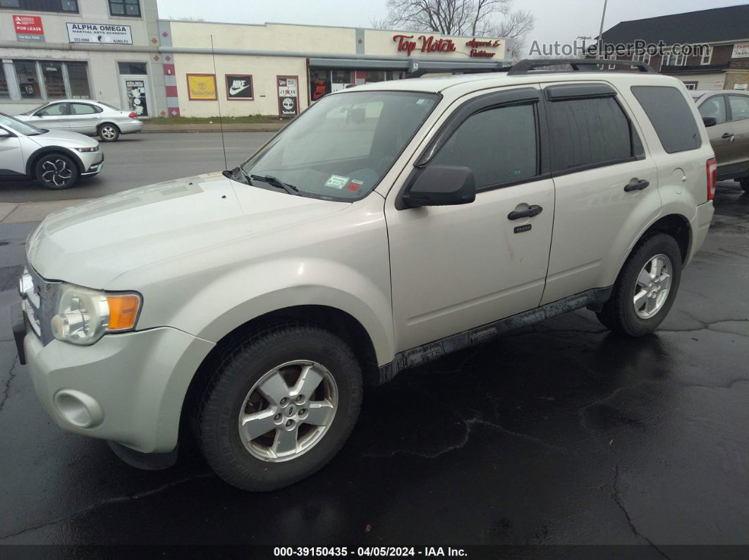 2009 Ford Escape Xlt Желто-коричневый vin: 1FMCU03G49KB20973