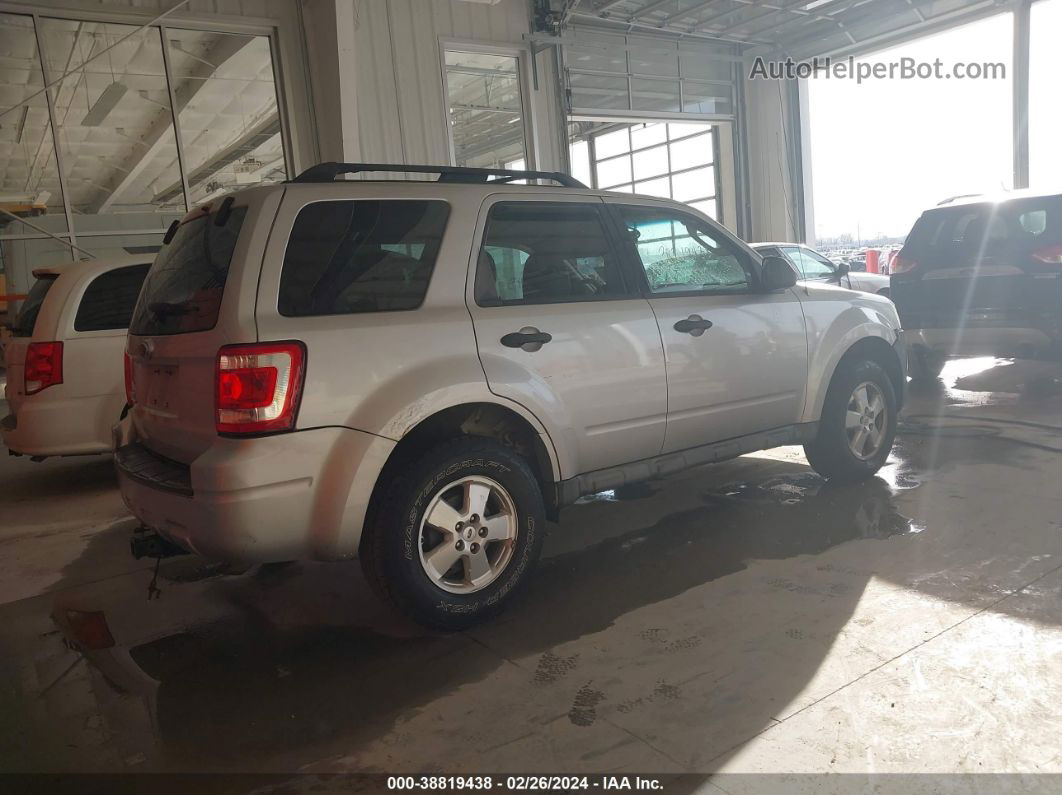 2009 Ford Escape Xlt Silver vin: 1FMCU03G59KA37553