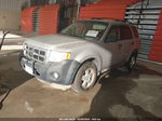 2009 Ford Escape Xlt Silver vin: 1FMCU03G59KA37553