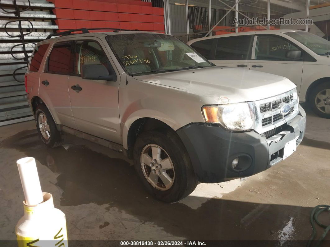 2009 Ford Escape Xlt Silver vin: 1FMCU03G59KA37553