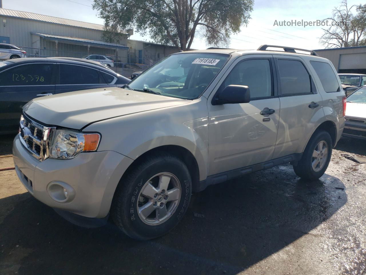 2009 Ford Escape Xlt Beige vin: 1FMCU03G59KA49749