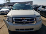 2009 Ford Escape Xlt Beige vin: 1FMCU03G59KA49749