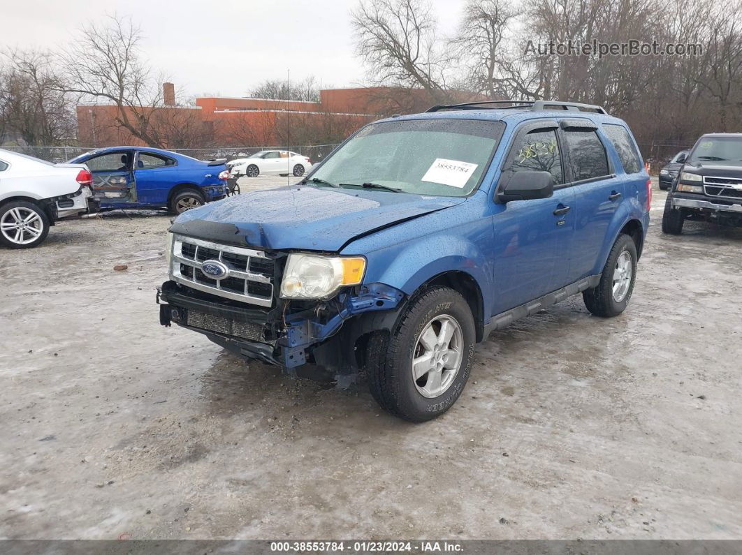 2009 Ford Escape Xlt Синий vin: 1FMCU03G59KA53722