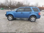 2009 Ford Escape Xlt Blue vin: 1FMCU03G59KA53722