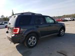 2009 Ford Escape Xlt Gray vin: 1FMCU03G59KB02045