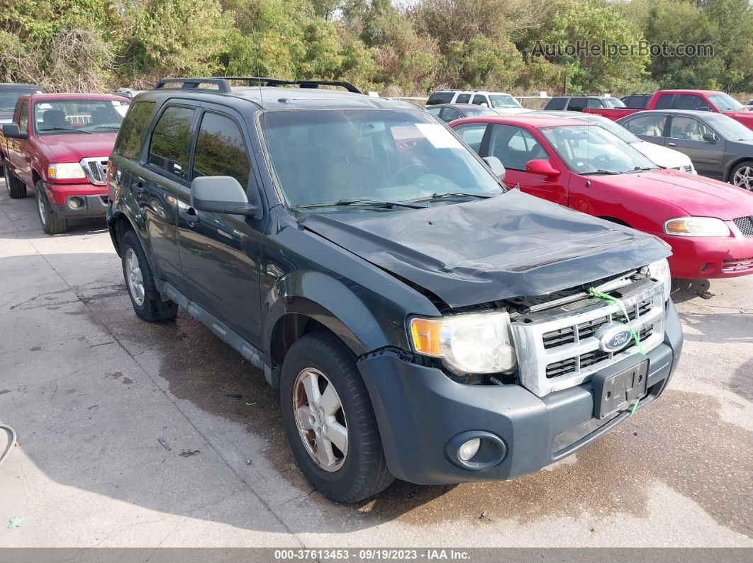 2009 Ford Escape Xlt Gray vin: 1FMCU03G59KC67738