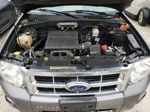 2009 Ford Escape Xlt Gray vin: 1FMCU03G59KD05906