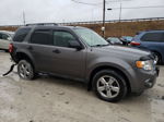 2009 Ford Escape Xlt Серый vin: 1FMCU03G59KD05906