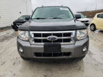 2009 Ford Escape Xlt Gray vin: 1FMCU03G59KD05906