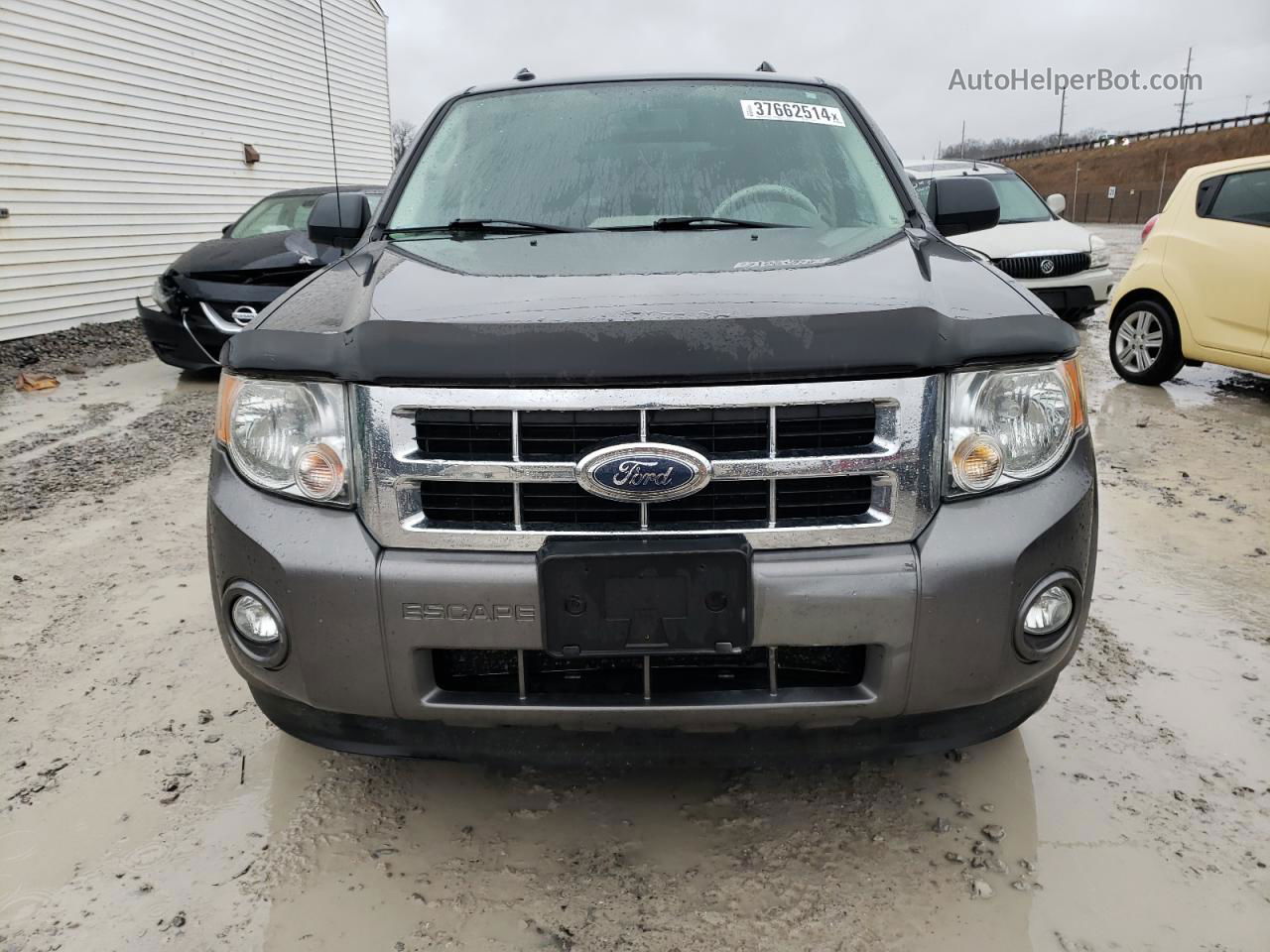 2009 Ford Escape Xlt Gray vin: 1FMCU03G59KD05906