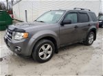2009 Ford Escape Xlt Gray vin: 1FMCU03G59KD05906