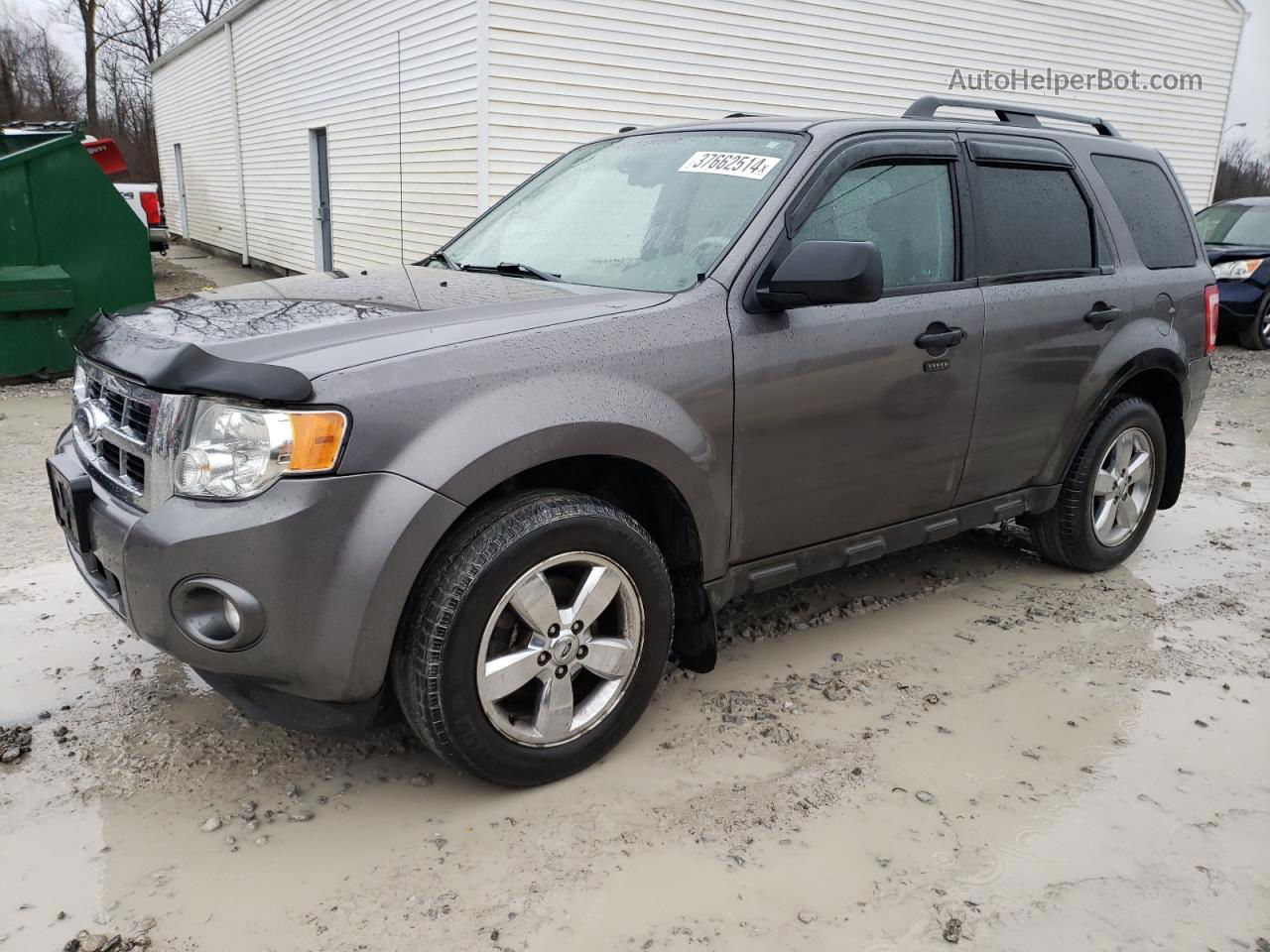 2009 Ford Escape Xlt Серый vin: 1FMCU03G59KD05906