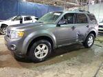 2009 Ford Escape Xlt Silver vin: 1FMCU03G69KA20650