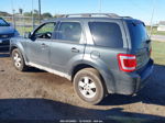 2009 Ford Escape Xlt Gray vin: 1FMCU03G69KB01583