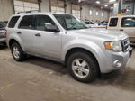 2009 Ford Escape Xlt Серебряный vin: 1FMCU03G69KB39539