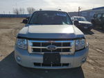 2009 Ford Escape Xlt Cream vin: 1FMCU03G69KB64716