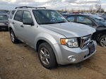 2009 Ford Escape Xlt Silver vin: 1FMCU03G69KB80141