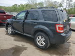 2009 Ford Escape Xlt Бирюзовый vin: 1FMCU03G69KD13450