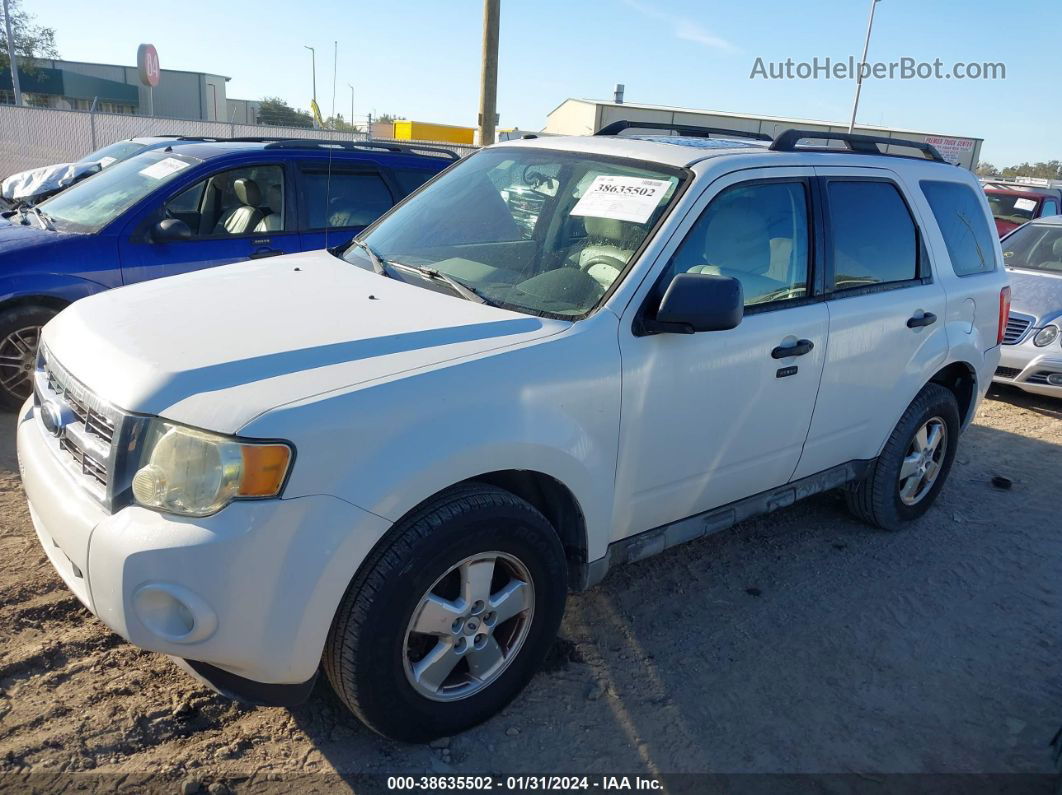 2009 Ford Escape Xlt White vin: 1FMCU03G79KC25281