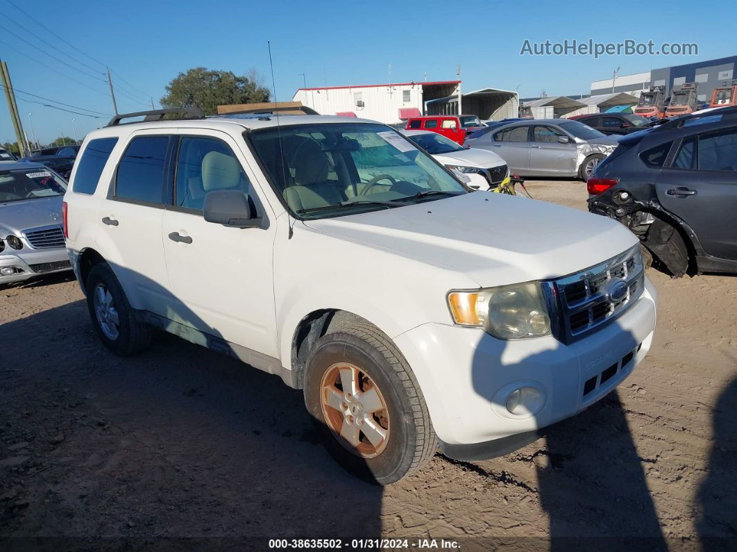 2009 Ford Escape Xlt White vin: 1FMCU03G79KC25281