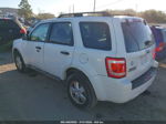 2009 Ford Escape Xlt White vin: 1FMCU03G79KC25281