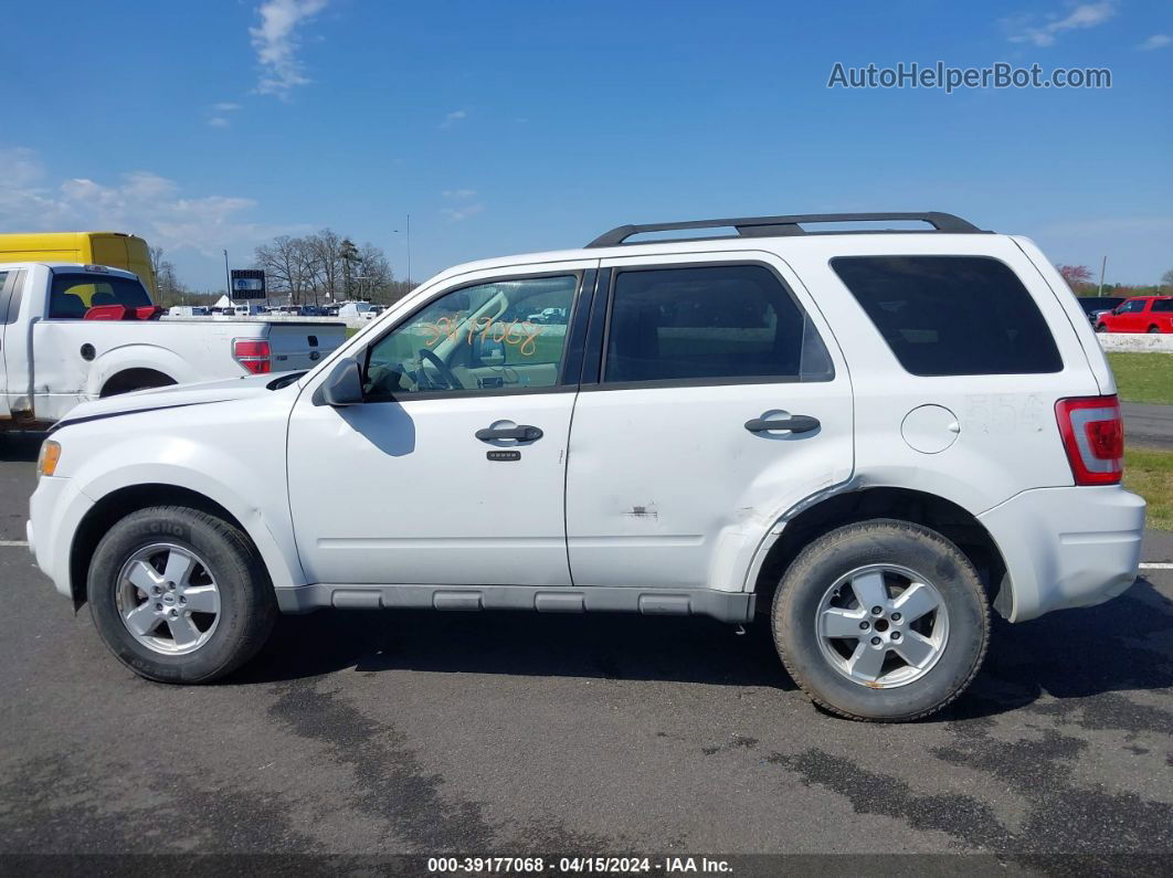 2009 Ford Escape Xlt Белый vin: 1FMCU03G79KC27404