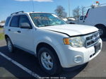 2009 Ford Escape Xlt White vin: 1FMCU03G79KC27404