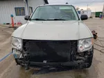 2009 Ford Escape Xlt White vin: 1FMCU03G79KD06040