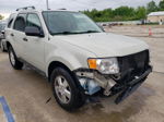 2009 Ford Escape Xlt White vin: 1FMCU03G79KD06040