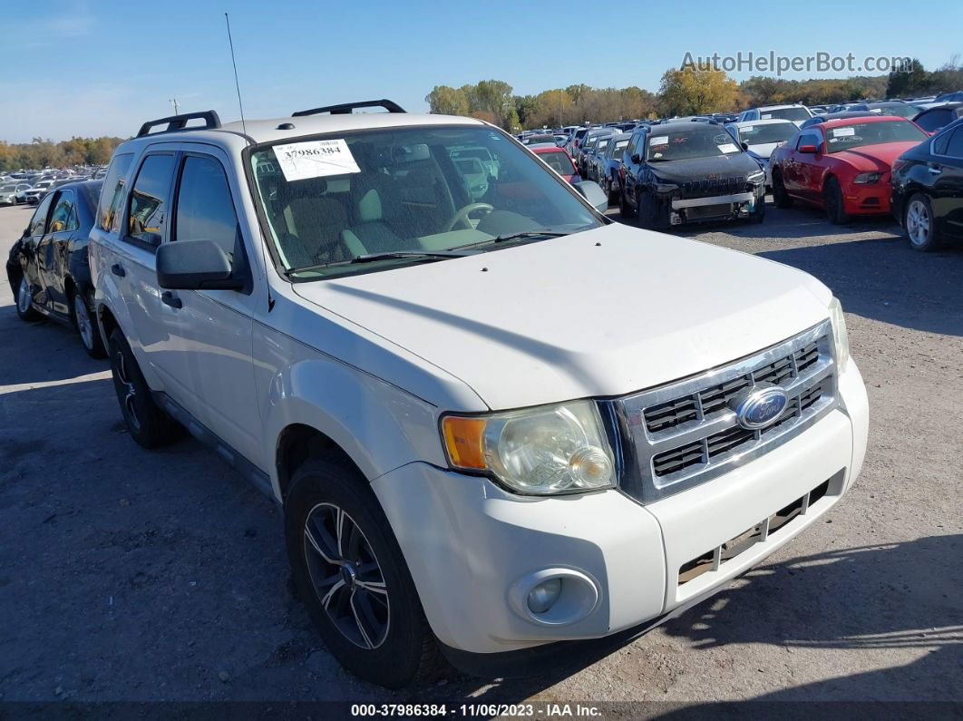 2009 Ford Escape Xlt White vin: 1FMCU03G89KA18785