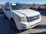 2009 Ford Escape Xlt White vin: 1FMCU03G89KA18785