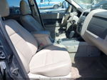 2009 Ford Escape Xlt Синий vin: 1FMCU03G89KA44724