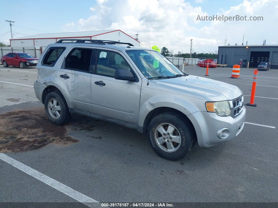 2009 Ford Escape Xlt Silver vin: 1FMCU03G89KA50362